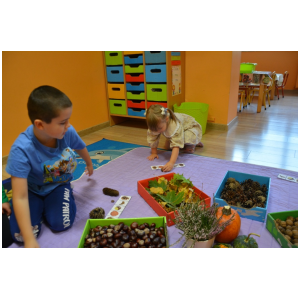 galeria/11/pl241009162213.jpg