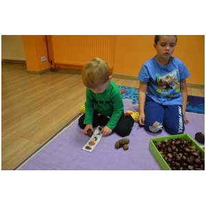 galeria/11/pl241009162216.jpg
