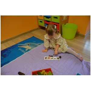 galeria/11/pl241009162221.jpg