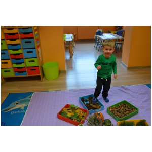galeria/11/pl241009162229.jpg