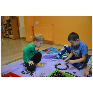 galeria/11/pl241009162249.jpg
