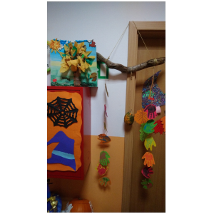 galeria/16/pl241031174710.jpg