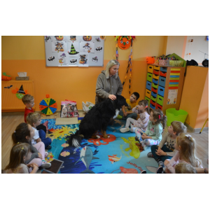 galeria/17/pl241101070846.jpg