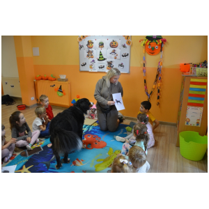 galeria/17/pl241101070853.jpg