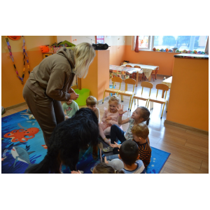 galeria/17/pl241101070857.jpg