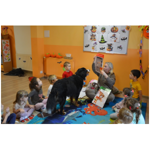 galeria/17/pl241101070904.jpg