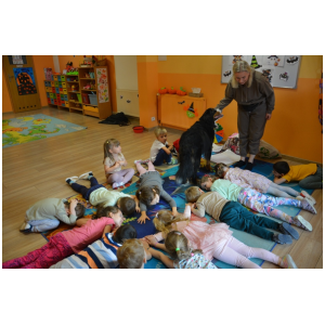 galeria/17/pl241101070908.jpg