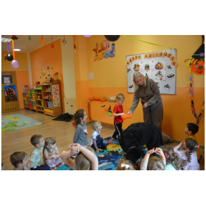 galeria/17/pl241101070919.jpg