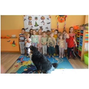 galeria/17/pl241101070940.jpg