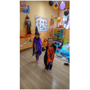 galeria/18/pl241101092033.jpg