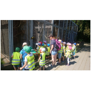 galeria/2/pl230607175922.jpg