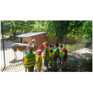 galeria/2/pl230607175935.jpg