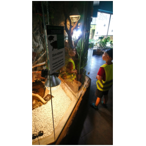 galeria/2/pl230607180025.jpg