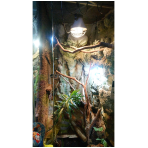 galeria/2/pl230607180038.jpg