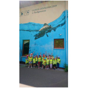 galeria/2/pl230607180226.jpg