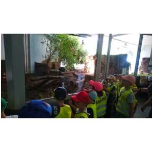 galeria/2/pl230607180435.jpg