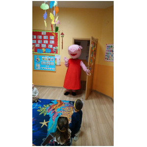 galeria/20/pl241116153149.jpg