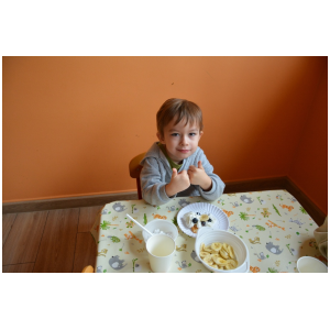 galeria/21/pl241124140824.jpg