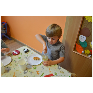 galeria/21/pl241124140839.jpg