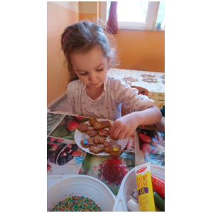 galeria/25/pl241214144412.jpg