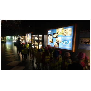 galeria/3/pl240514195006.jpg