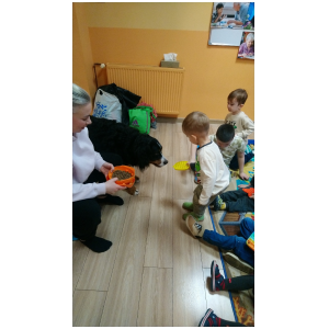 galeria/31/pl250125100254.jpg
