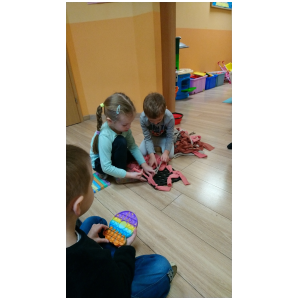 galeria/31/pl250125100307.jpg