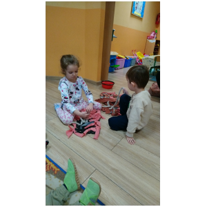 galeria/31/pl250125100310.jpg