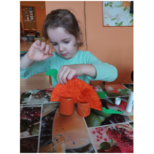 galeria/38/pl250228183108.jpg