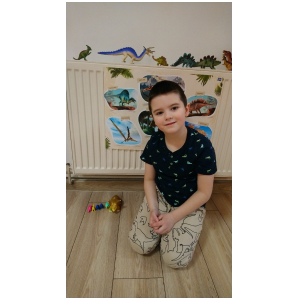 galeria/39/pl250228184015.jpg