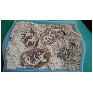 galeria/39/pl250228184050.jpg
