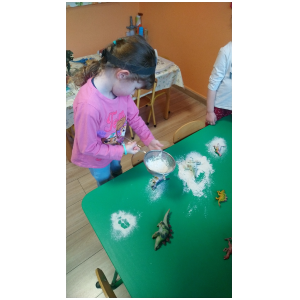 galeria/39/pl250228184120.jpg