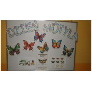 galeria/41/pl250313194458.jpg