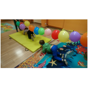 galeria/41/pl250313194636.jpg