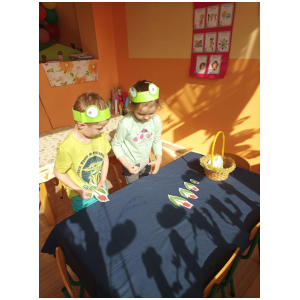 galeria/44/pl250324202205.jpg