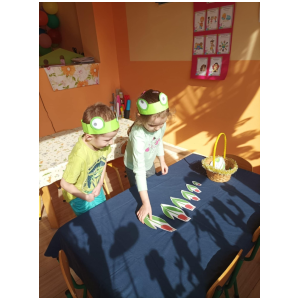 galeria/44/pl250324202245.jpg