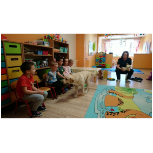 galeria/47/pl250406073514.jpg