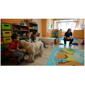 galeria/47/pl250406073522.jpg
