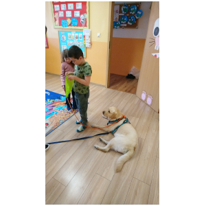 galeria/47/pl250406073542.jpg