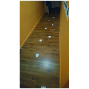 galeria/48/pl250418195848.jpg