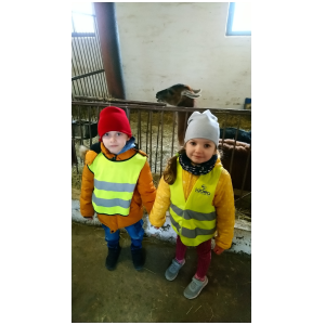 galeria/49/pl250411220356.jpg