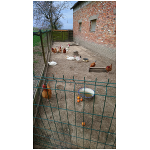 galeria/49/pl250411220424.jpg