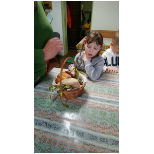 galeria/49/pl250411220619.jpg