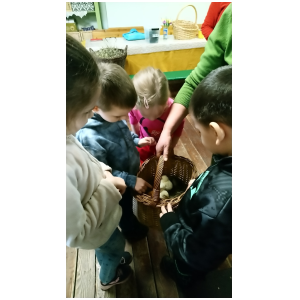galeria/49/pl250411220627.jpg