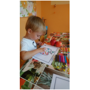 galeria/5/pl240922203719.jpg