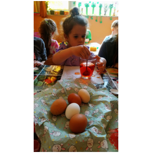 galeria/50/pl250416204414.jpg